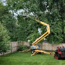 Best Seasonal Cleanup (Spring/Fall)  in Pine Lakes, FL