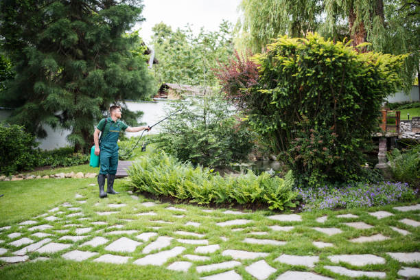 Best Lawn Pest Prevention  in Pine Lakes, FL