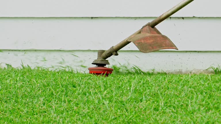  Pine Lakes, FL Tree Services Pros